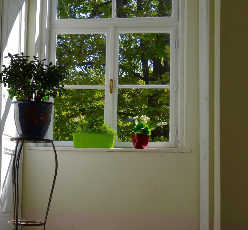 Sonnberg Apartments Виена Стая снимка